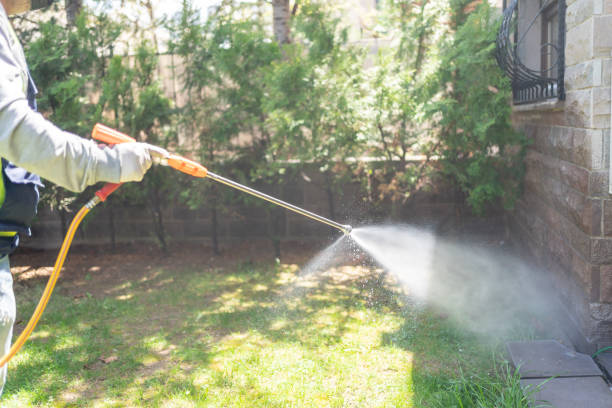 Outdoor Pest Control in Wingdale, NY